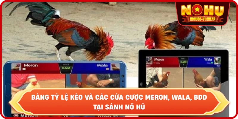 Luật đá gà NỔ HŨ – Cẩm Nang Thắng Cược Cho Kê Thủ 2026