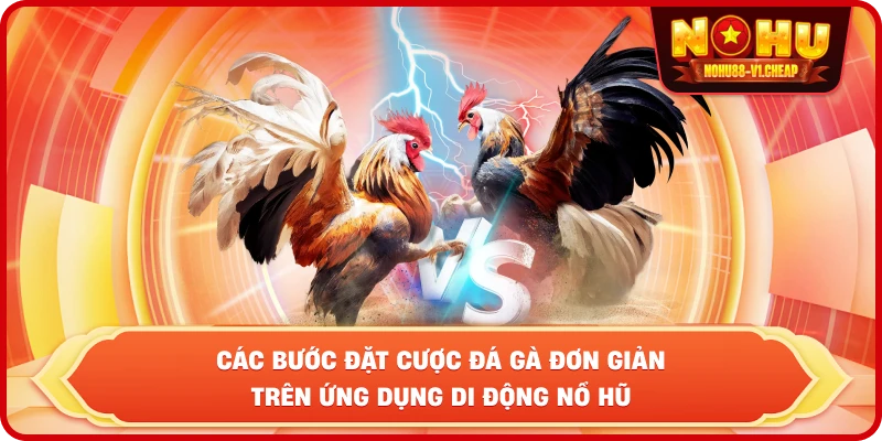 Luật đá gà NỔ HŨ – Cẩm Nang Thắng Cược Cho Kê Thủ 2026