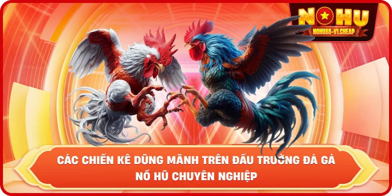 Luật đá gà NỔ HŨ – Cẩm Nang Thắng Cược Cho Kê Thủ 2026