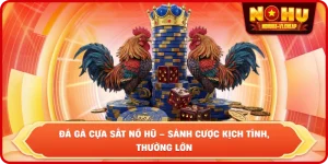 Đá gà NỔ HŨ – Sảnh cược đẳng cấp, thắng lớn cực dễ