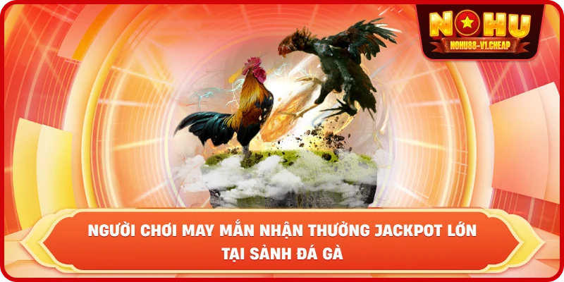 Đá gà thomo NỔ HŨ – Sảnh cược kịch tính, thưởng cực lớn