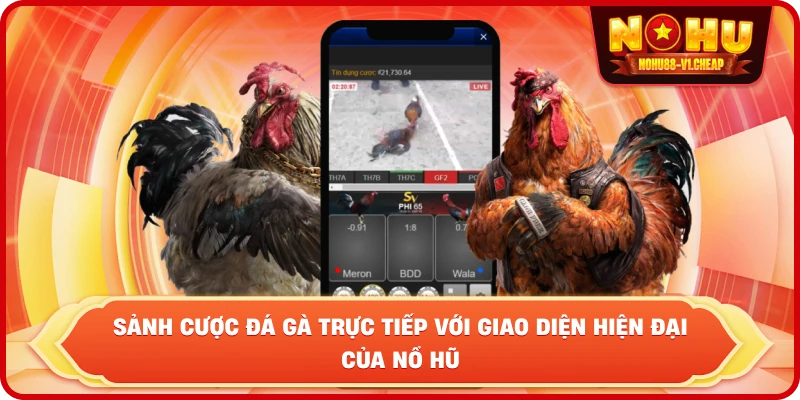 Đá gà thomo NỔ HŨ – Sảnh cược kịch tính, thưởng cực lớn