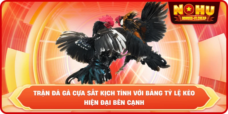 Đá gà cựa sắt NỔ HŨ – Sảnh cược kịch tính, thưởng lớn